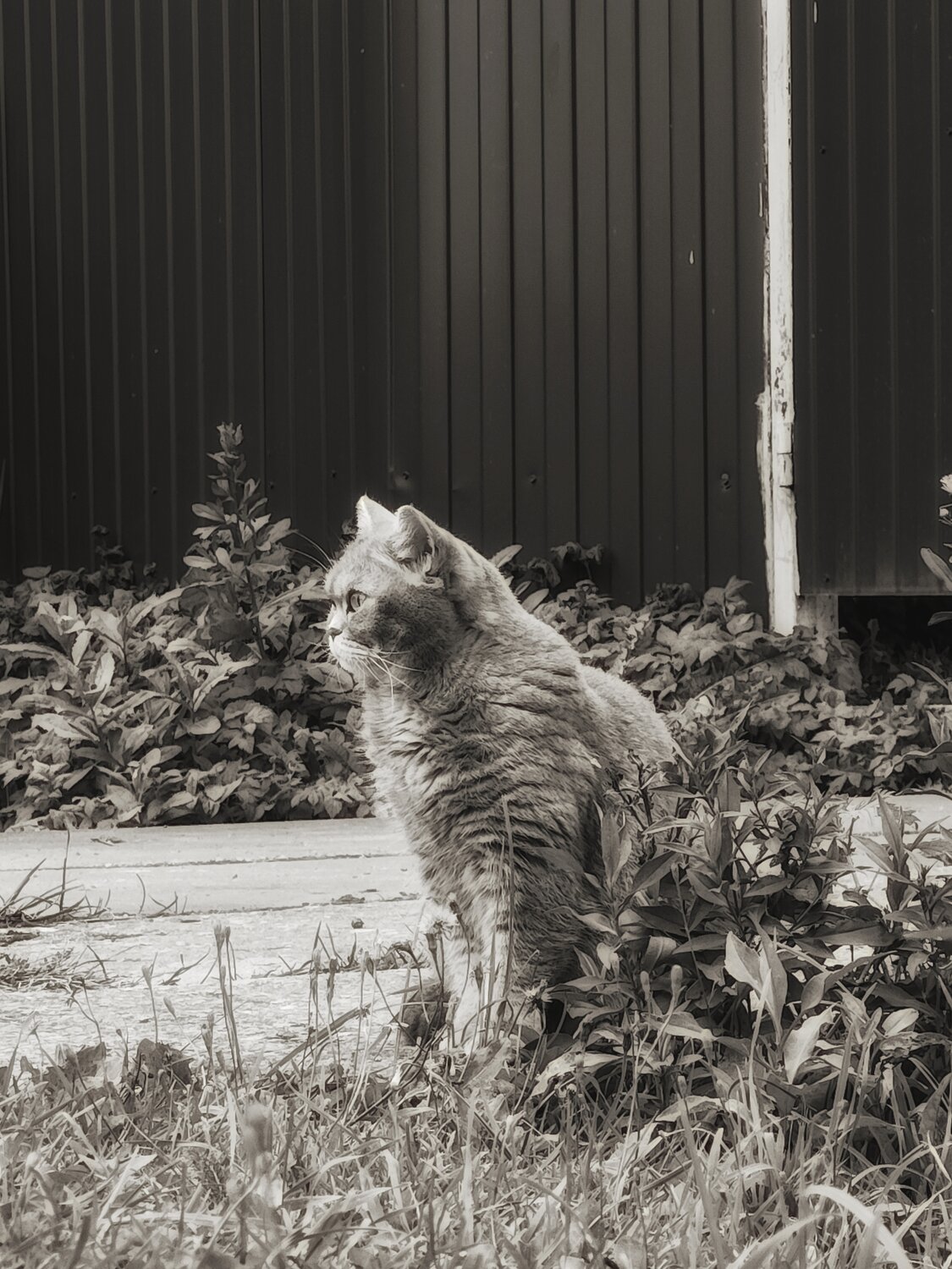 Photo #14033690