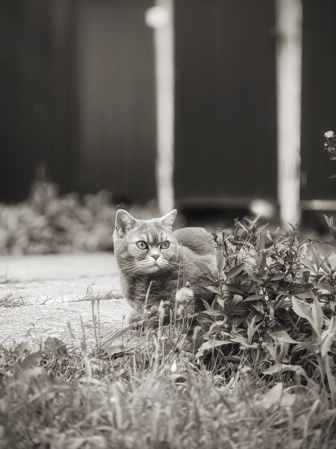 Photo #14033691