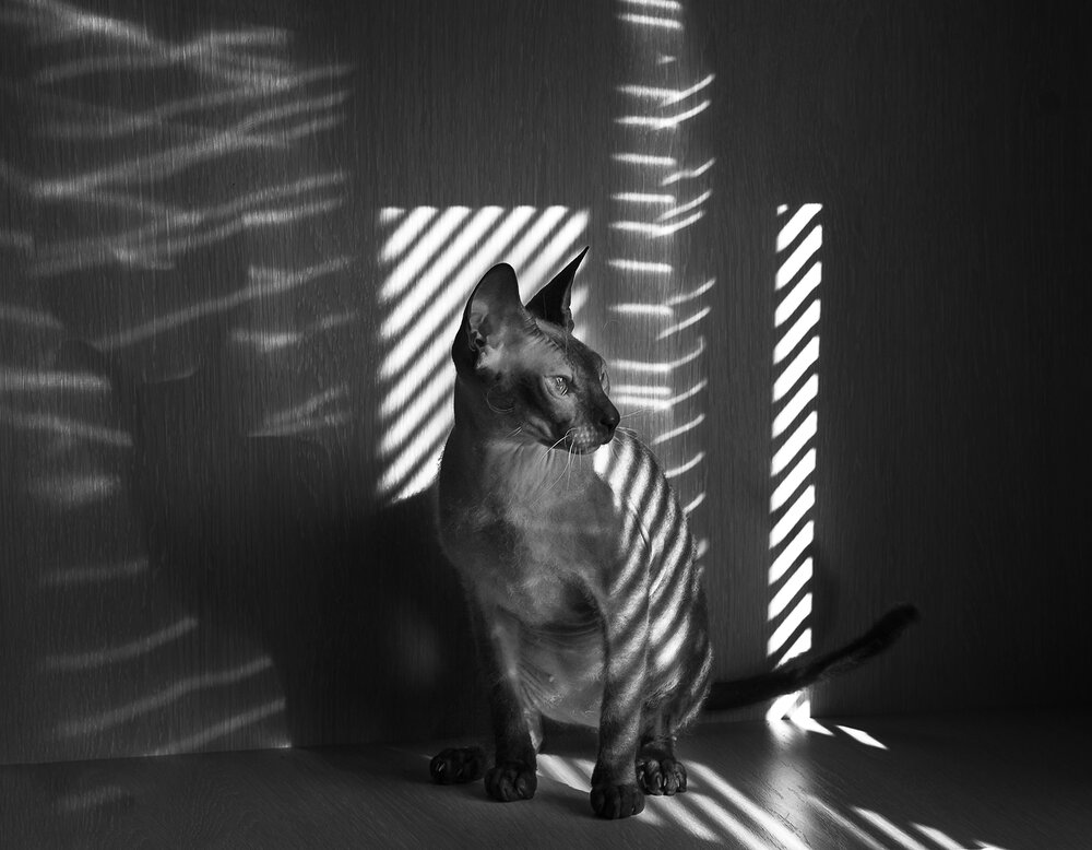 Photograph by Инна Сухова