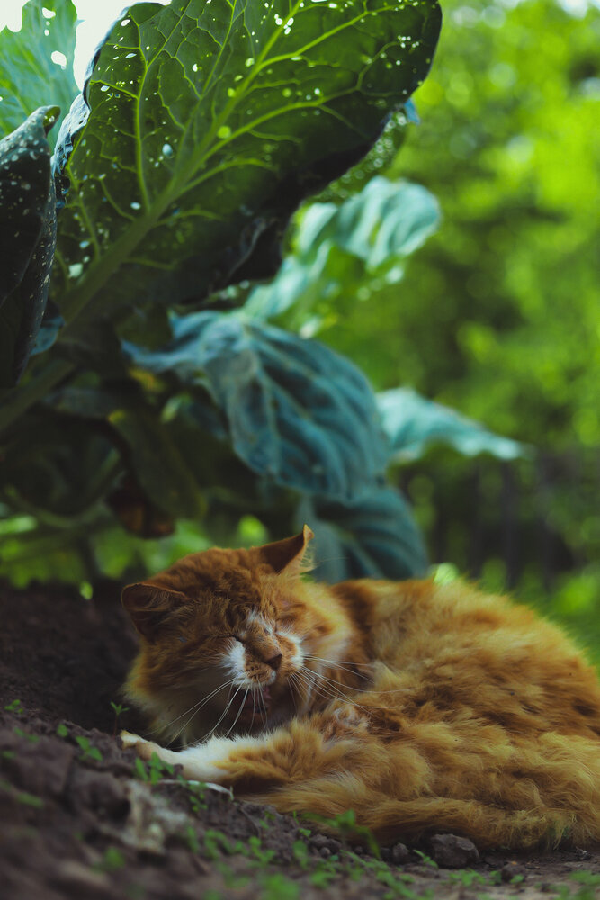 Photograph by Руслана Ковалевская