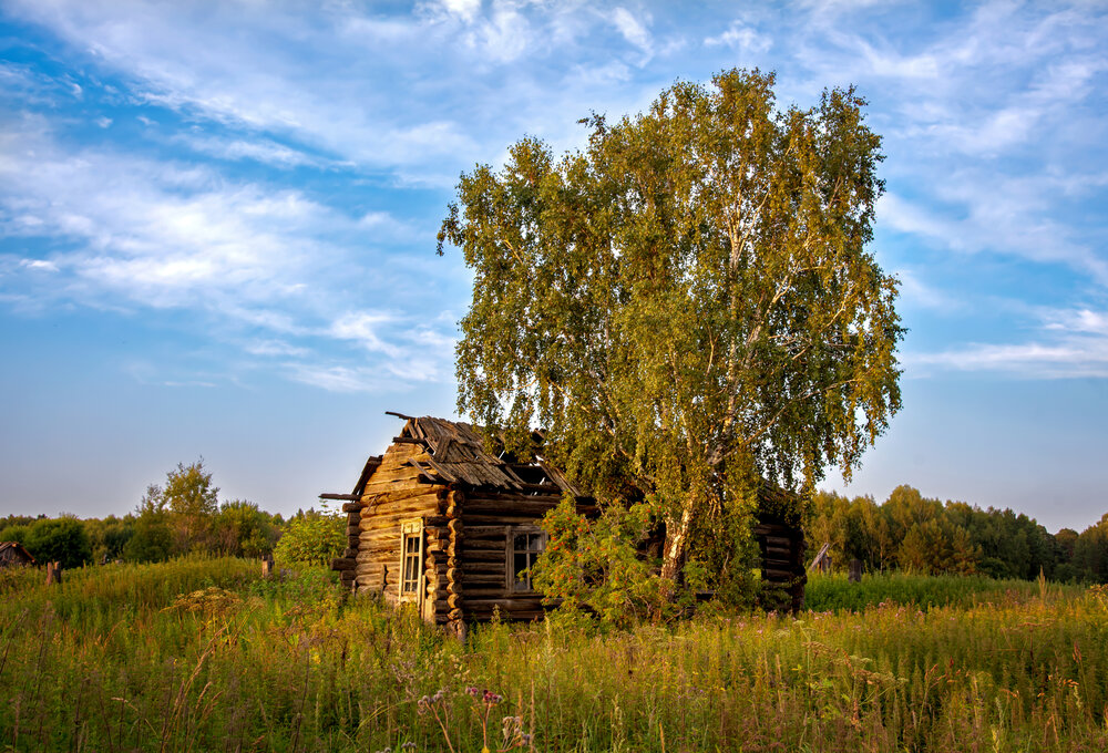 Photograph by Николай Швалюк