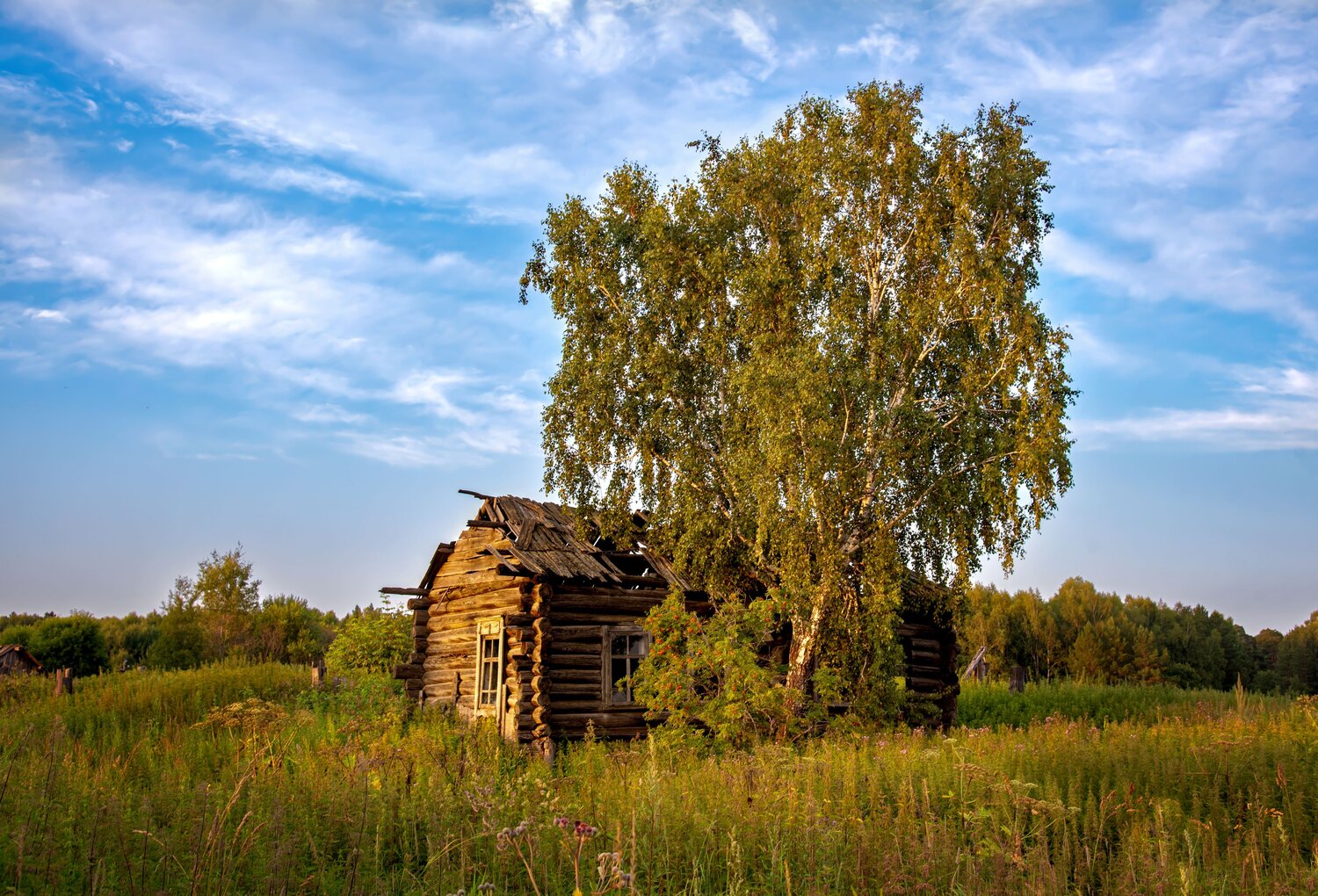 Photo #14033754