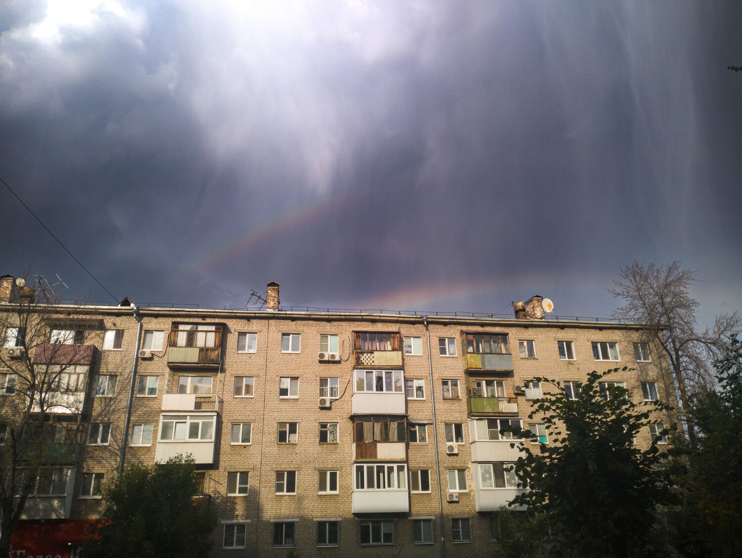 Photo #14033771