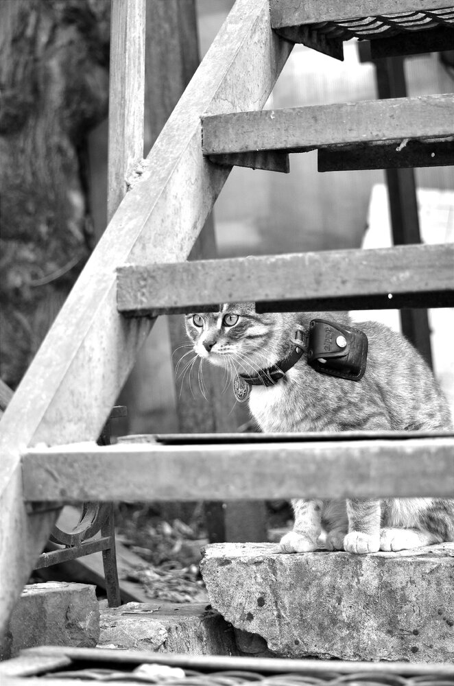 Photograph by Татьяна Козлова