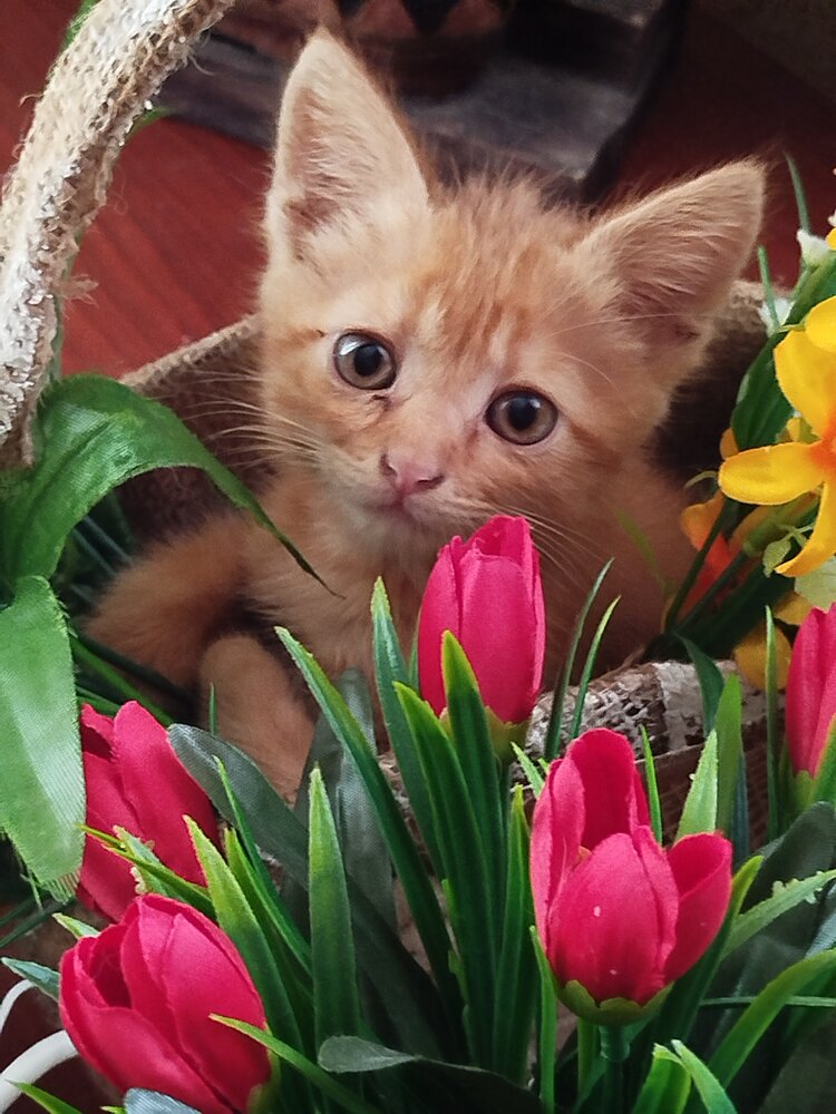 Photograph by Наталья Назаренко