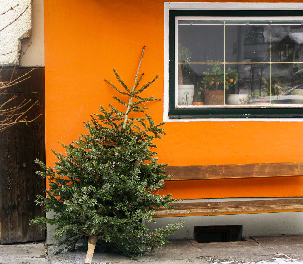 Photograph by Елена Третьякова