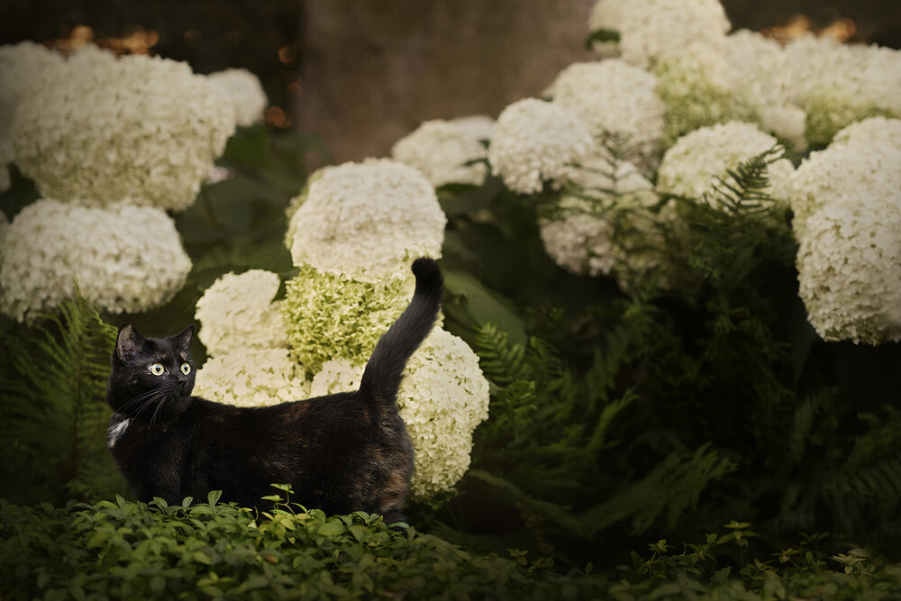 Photograph by Eva-Maria Koberger