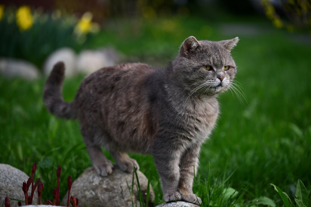 Photograph by BESPAMIATNYI Dmitry