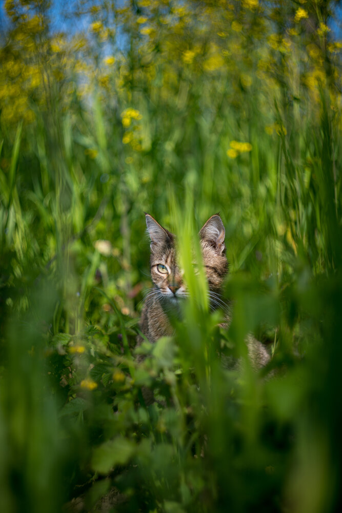 Photograph by BESPAMIATNYI Dmitry