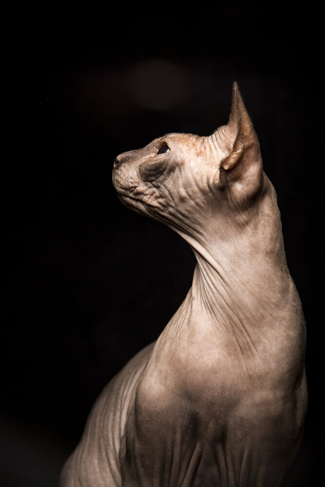 Photograph by Татьяна Мурзенко