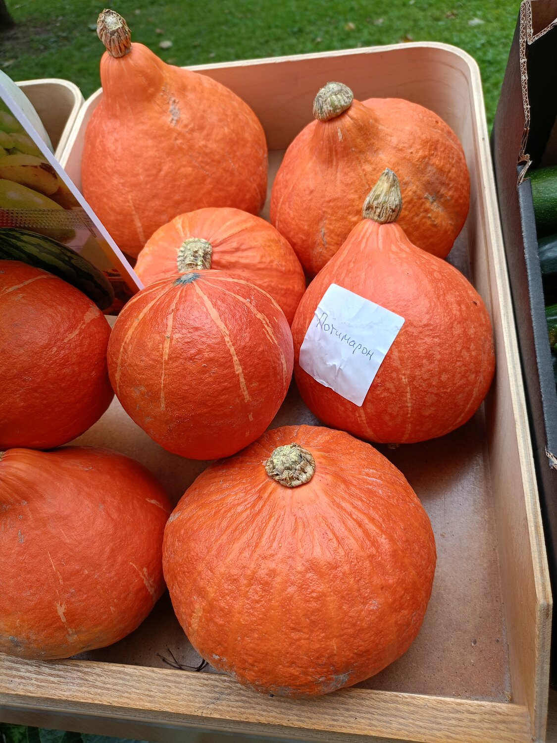 Photo #14033855