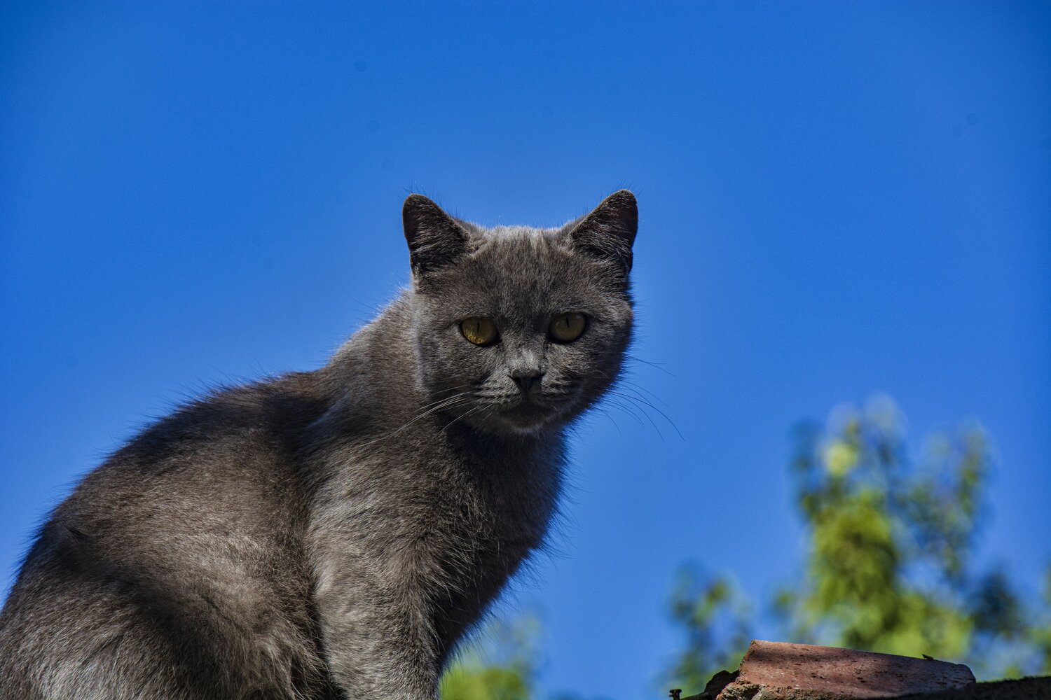 Photo #14033857