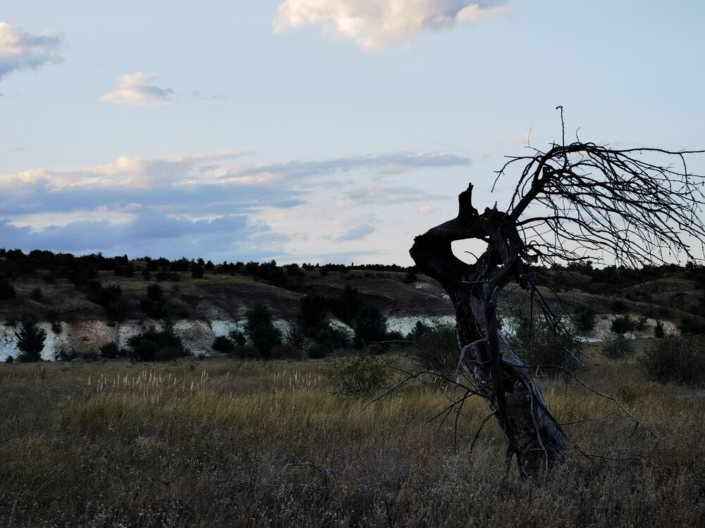 Photograph by Наталья Лощилина