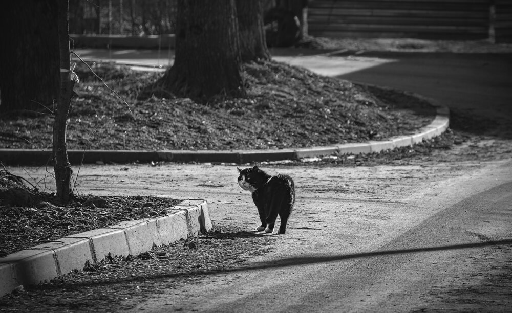 Photograph by Щирова Александра