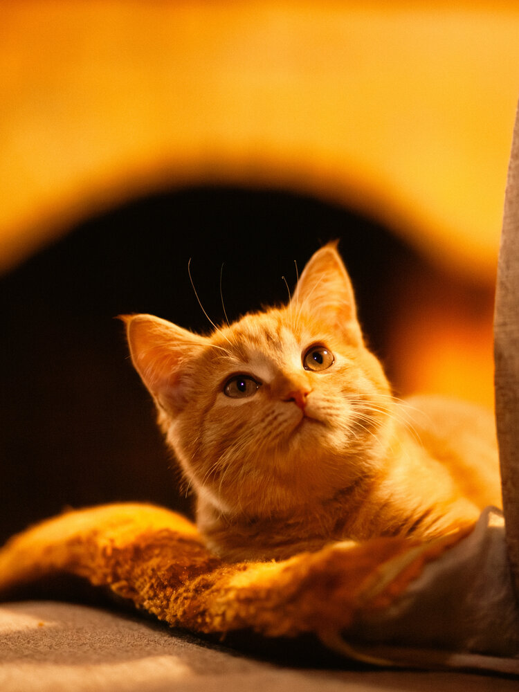 Photograph by Владимир Пилюков