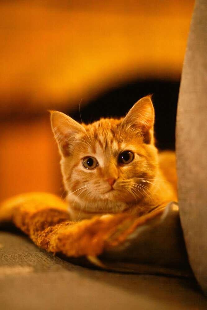 Photograph by Владимир Пилюков