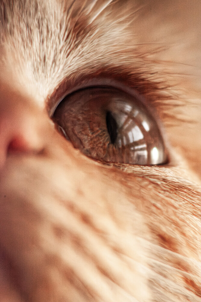 Photograph by Владимир Пилюков