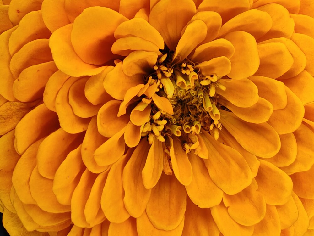 Photograph by Людмила Воропаева
