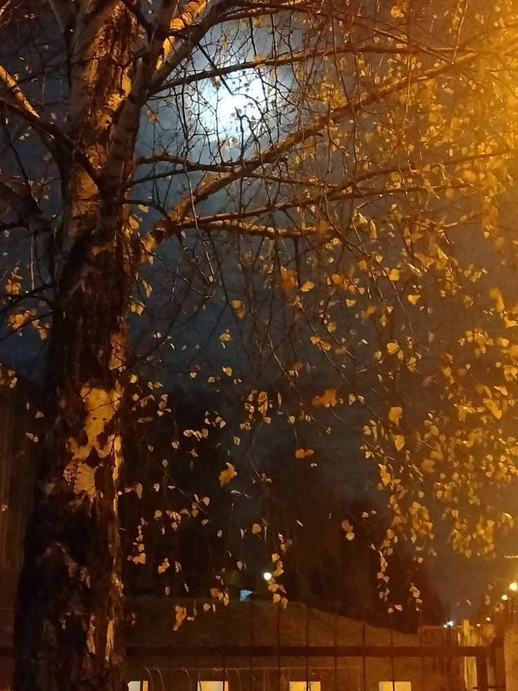 Photograph by Наталья Драгун