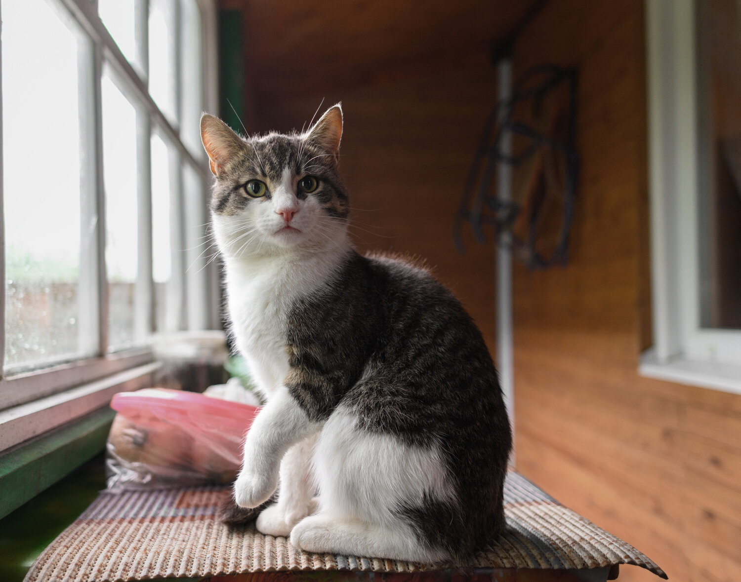 Photo #14034025
