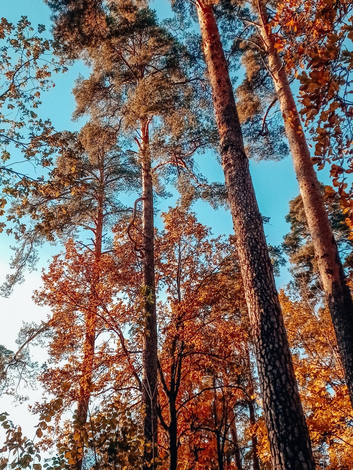 Photo #14034026