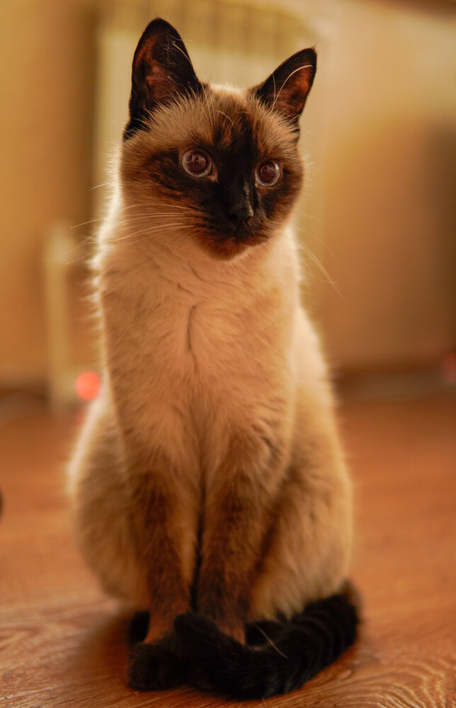 Photograph by Victoria Zubova