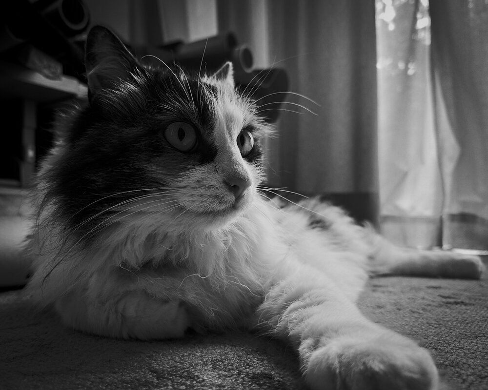 Photograph by SUZUKI Kazumichi