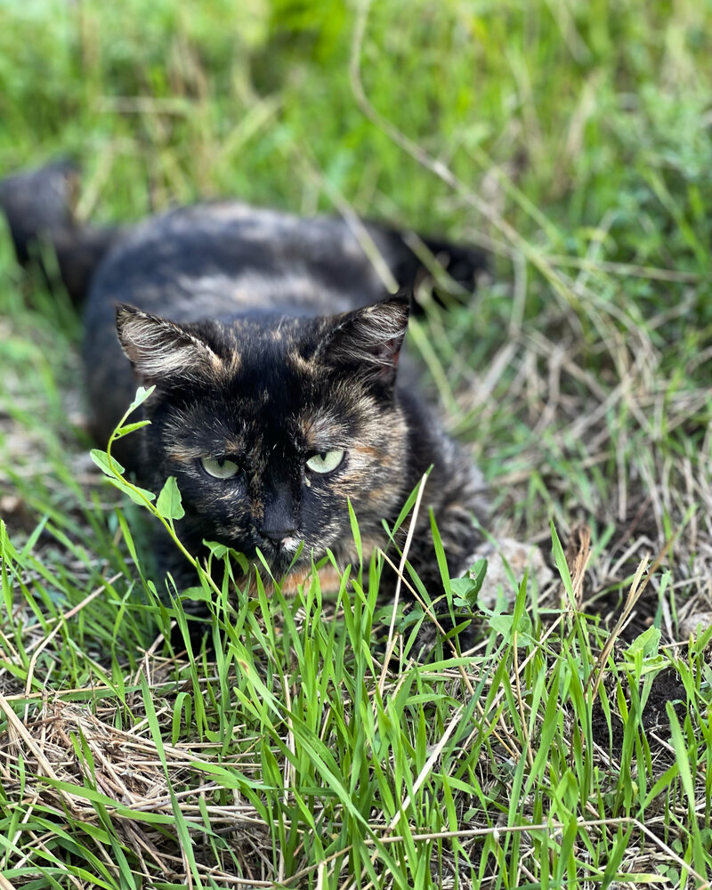 Photograph by Елена Сушкова