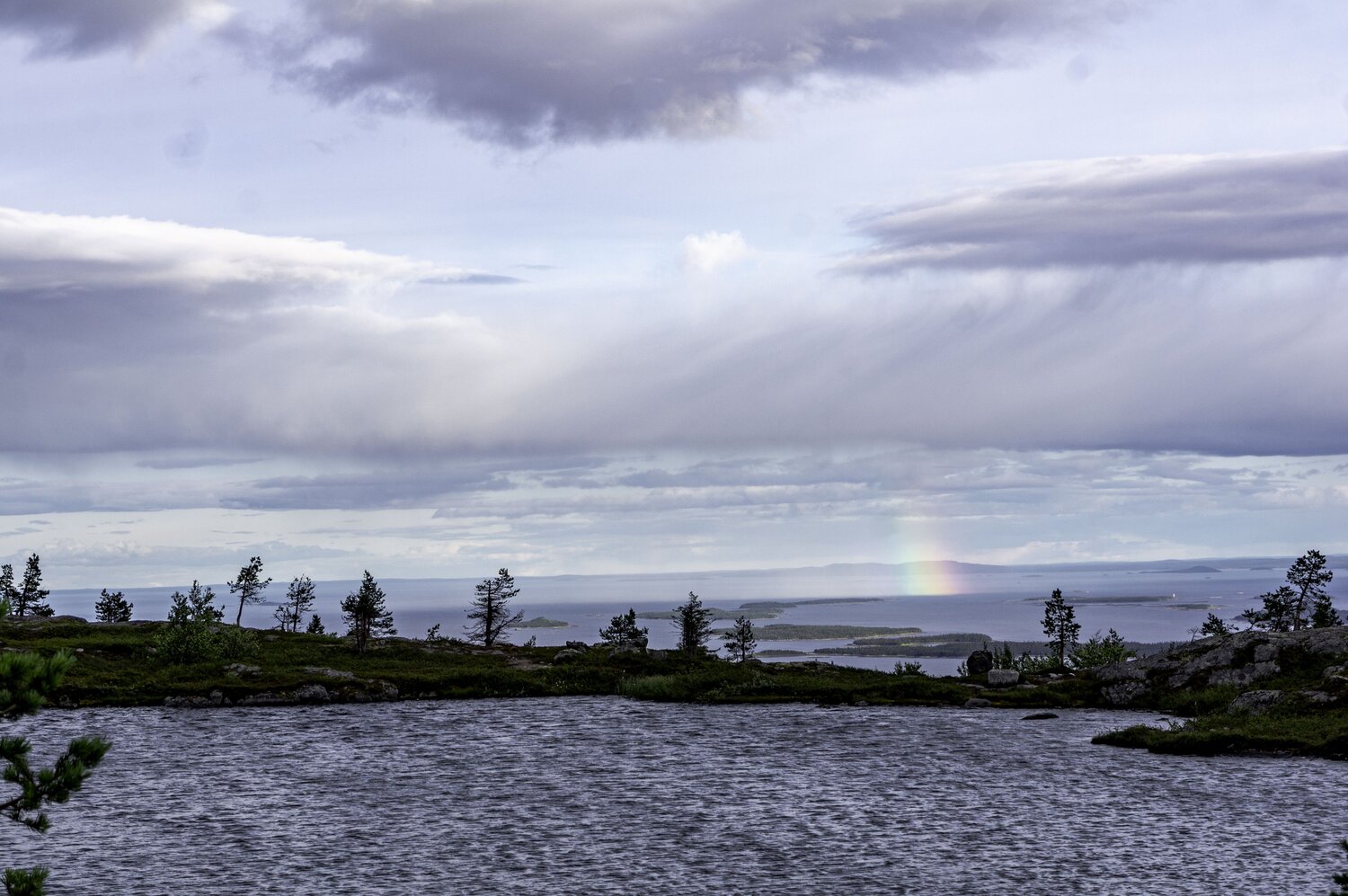 Photo #14034097
