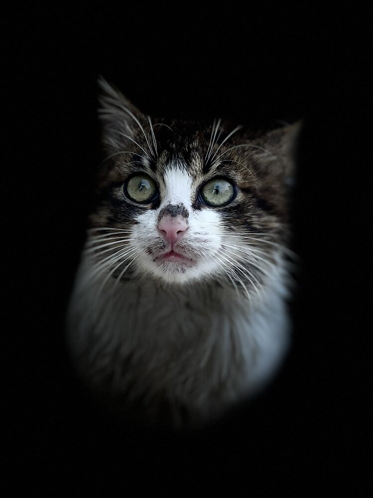 Photograph by Ahmed Elhetki