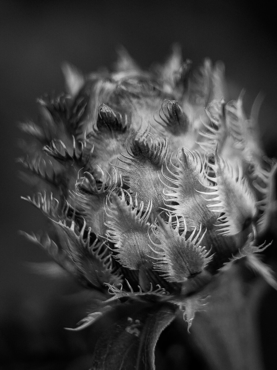 Photo #14034118