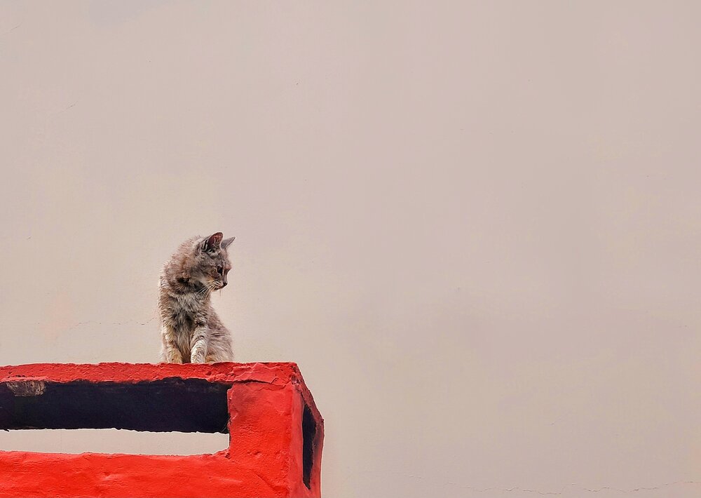 Photograph by Roberto Hagemann