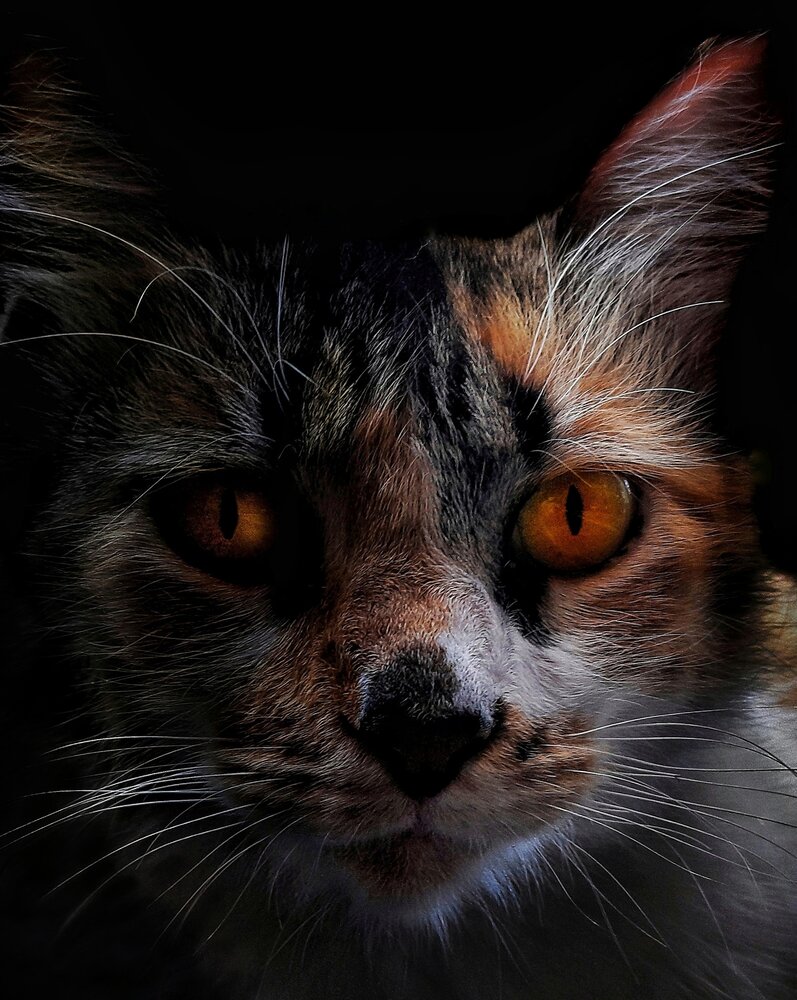 Photograph by Roberto Hagemann