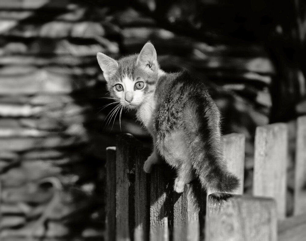 Photograph by Денис Колесников