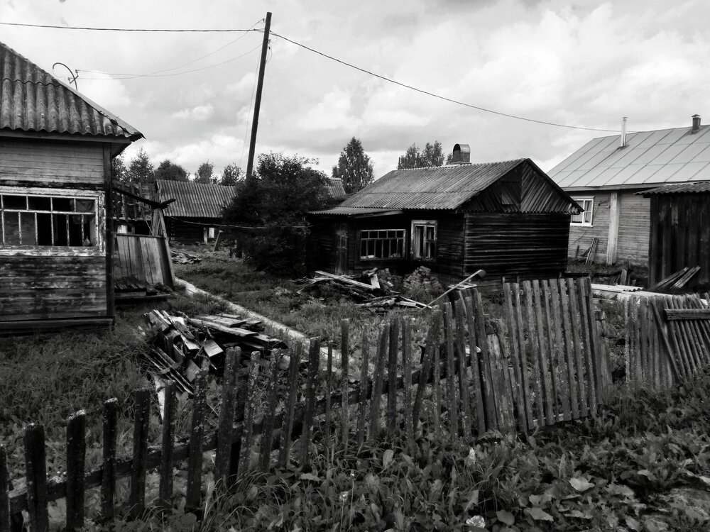 Photo #14034205