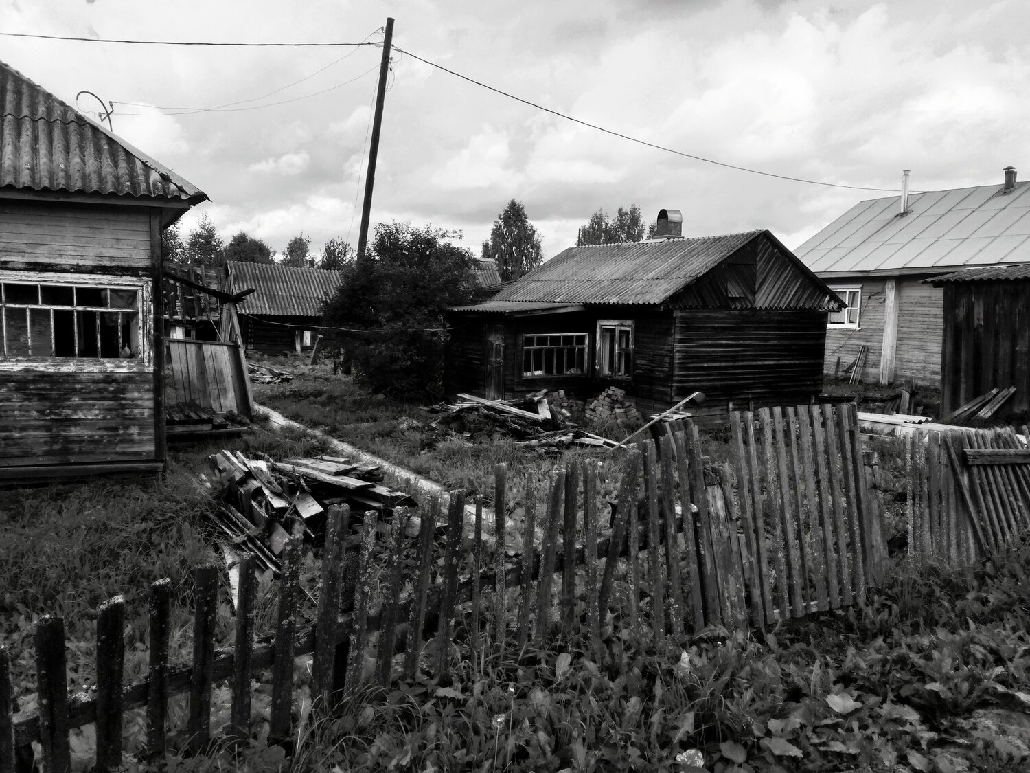 Photo #14034205