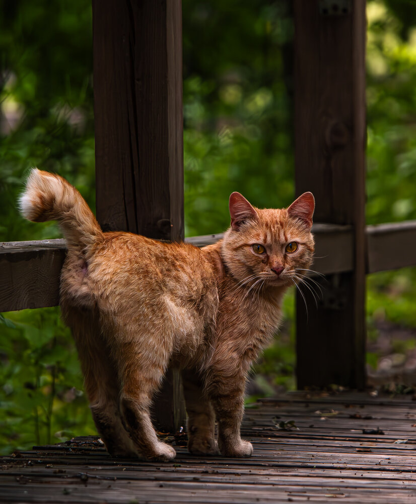Photograph by Antrico Norwe