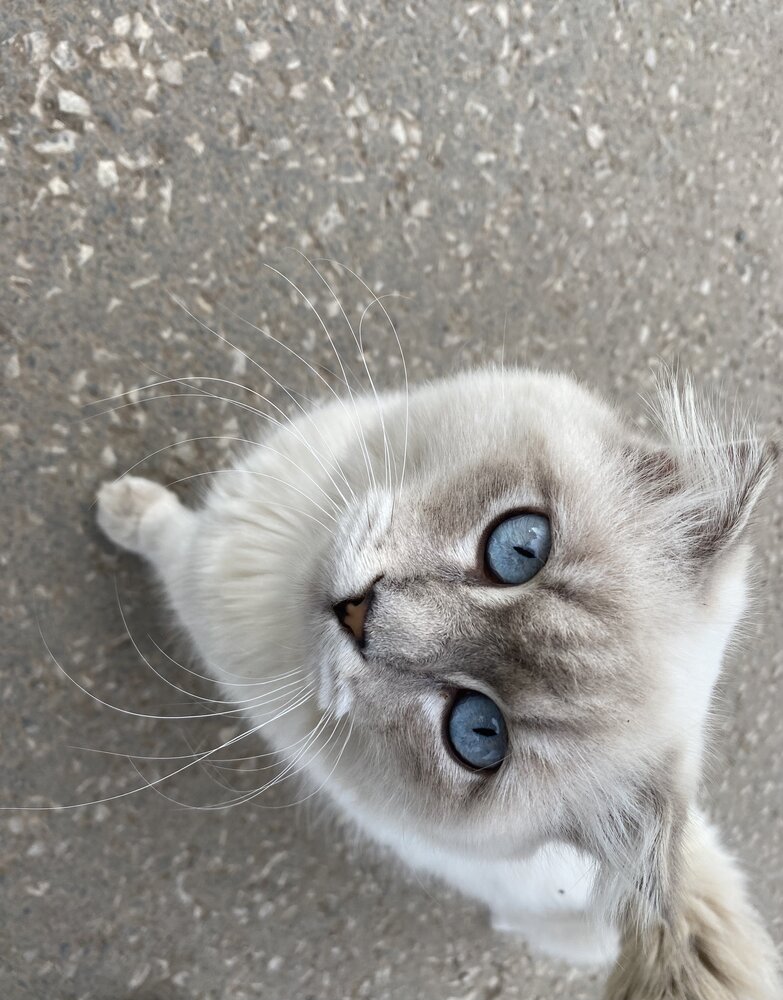Photograph by Aлександра Чаплыгина