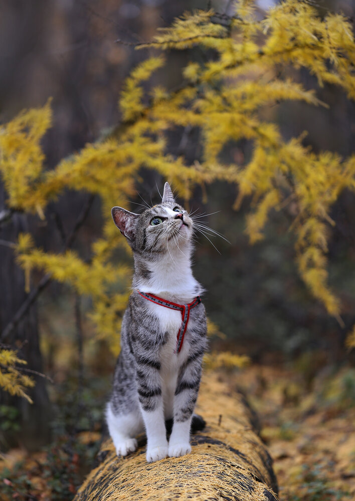 Photograph by Евгения Левина
