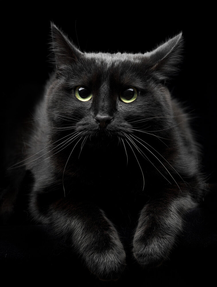 Photograph by Игорь Сахаров