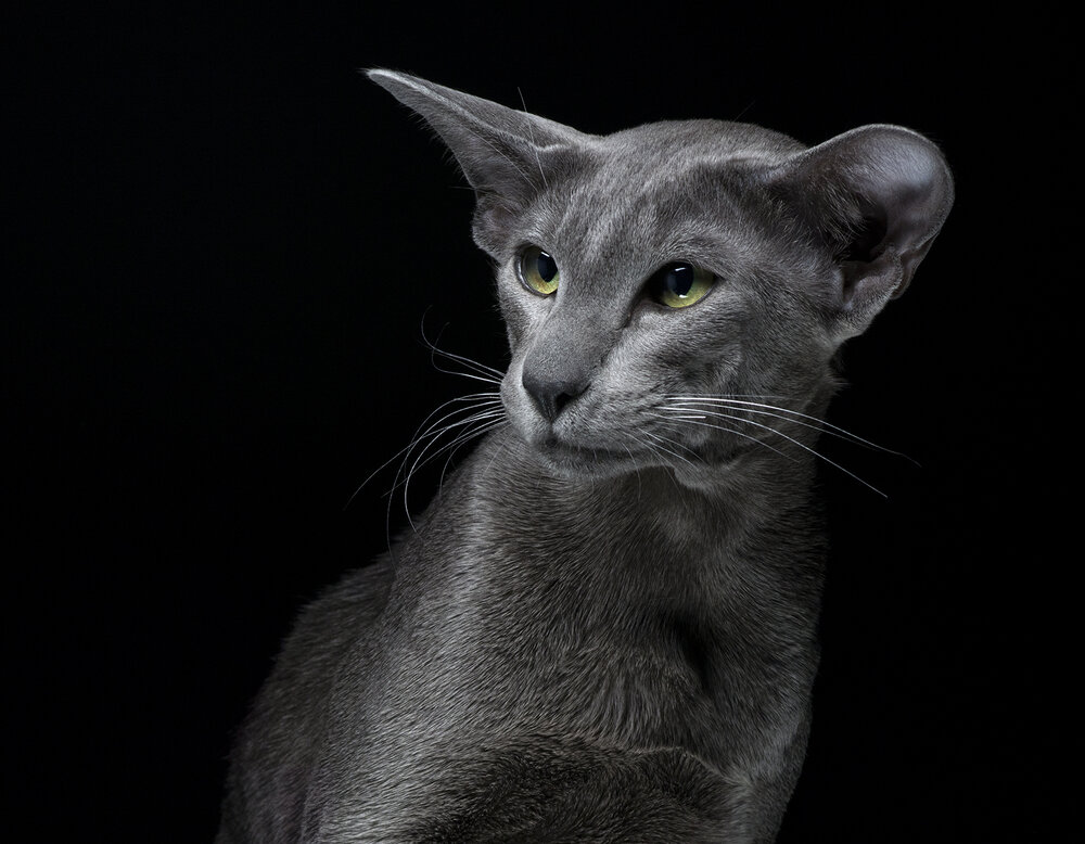 Photograph by Игорь Сахаров