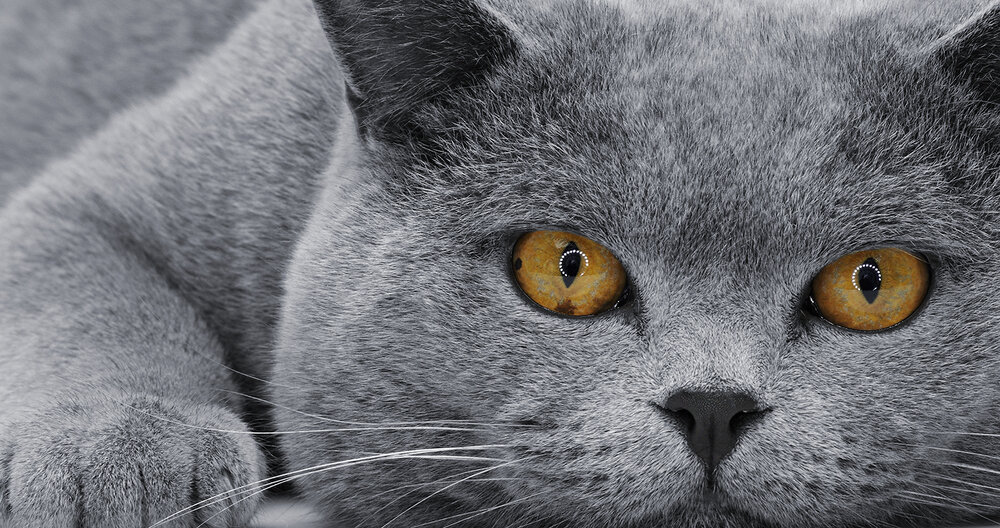Photograph by Игорь Сахаров