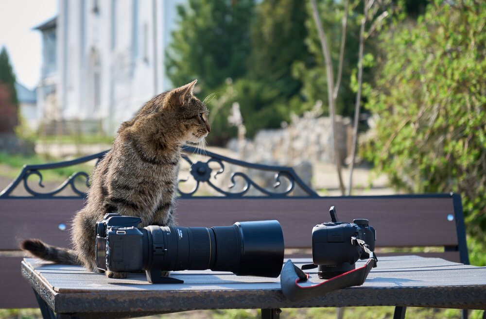 Photograph by Мирон Сергей