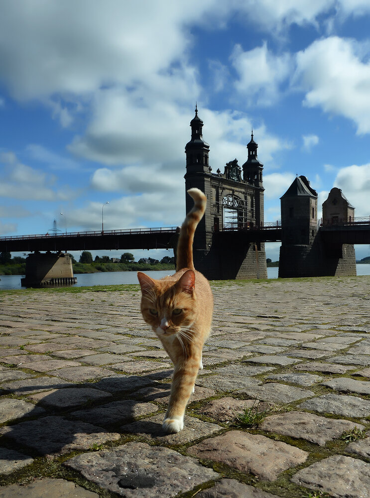 Photograph by Алексей Парамонов