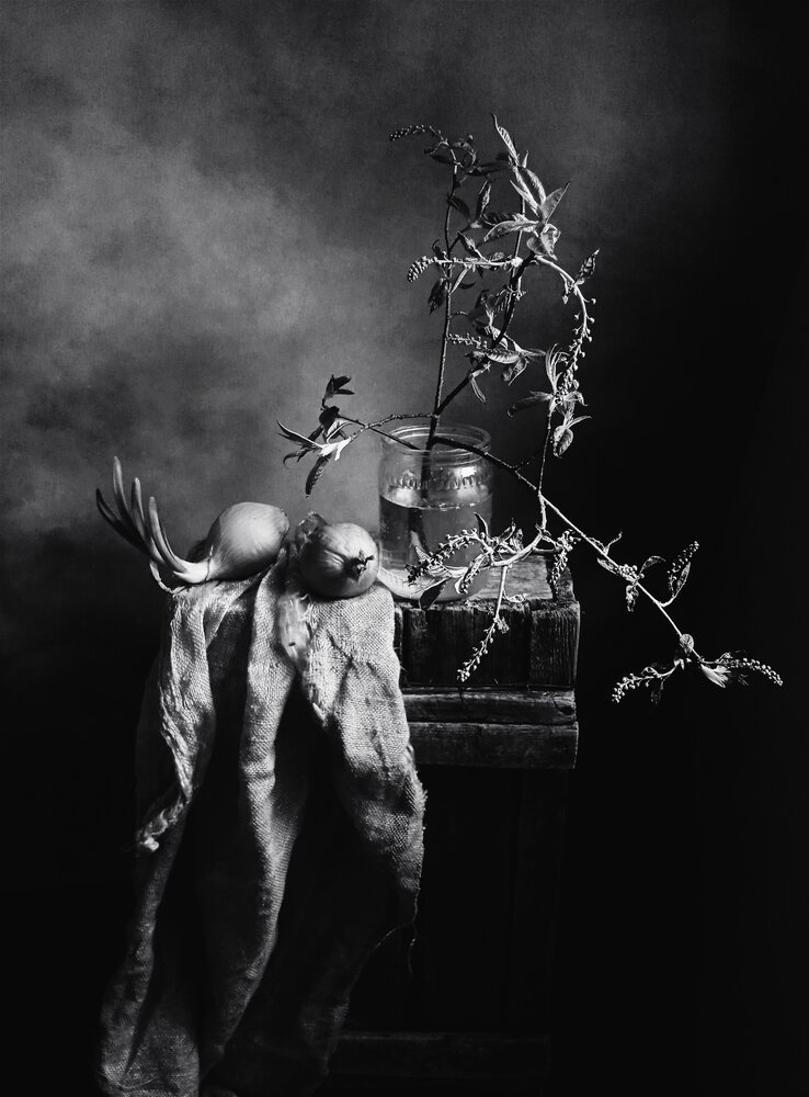 Photograph by Валентина Евсеева
