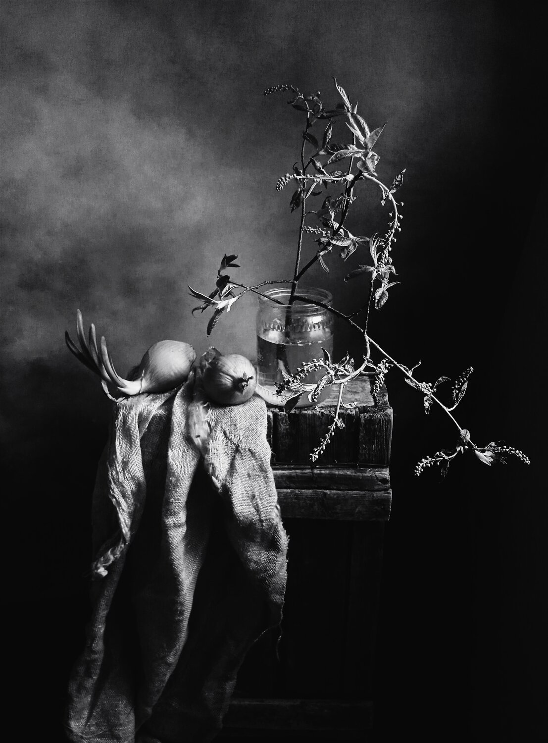 Photo #14034391