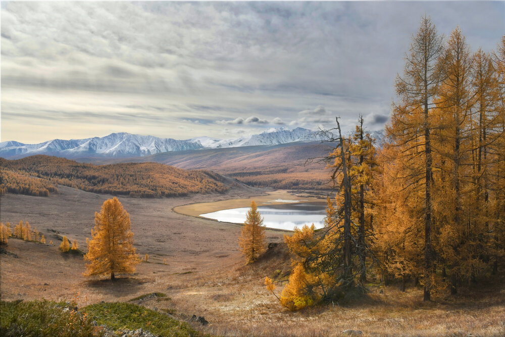 Photograph by Крат Светлана