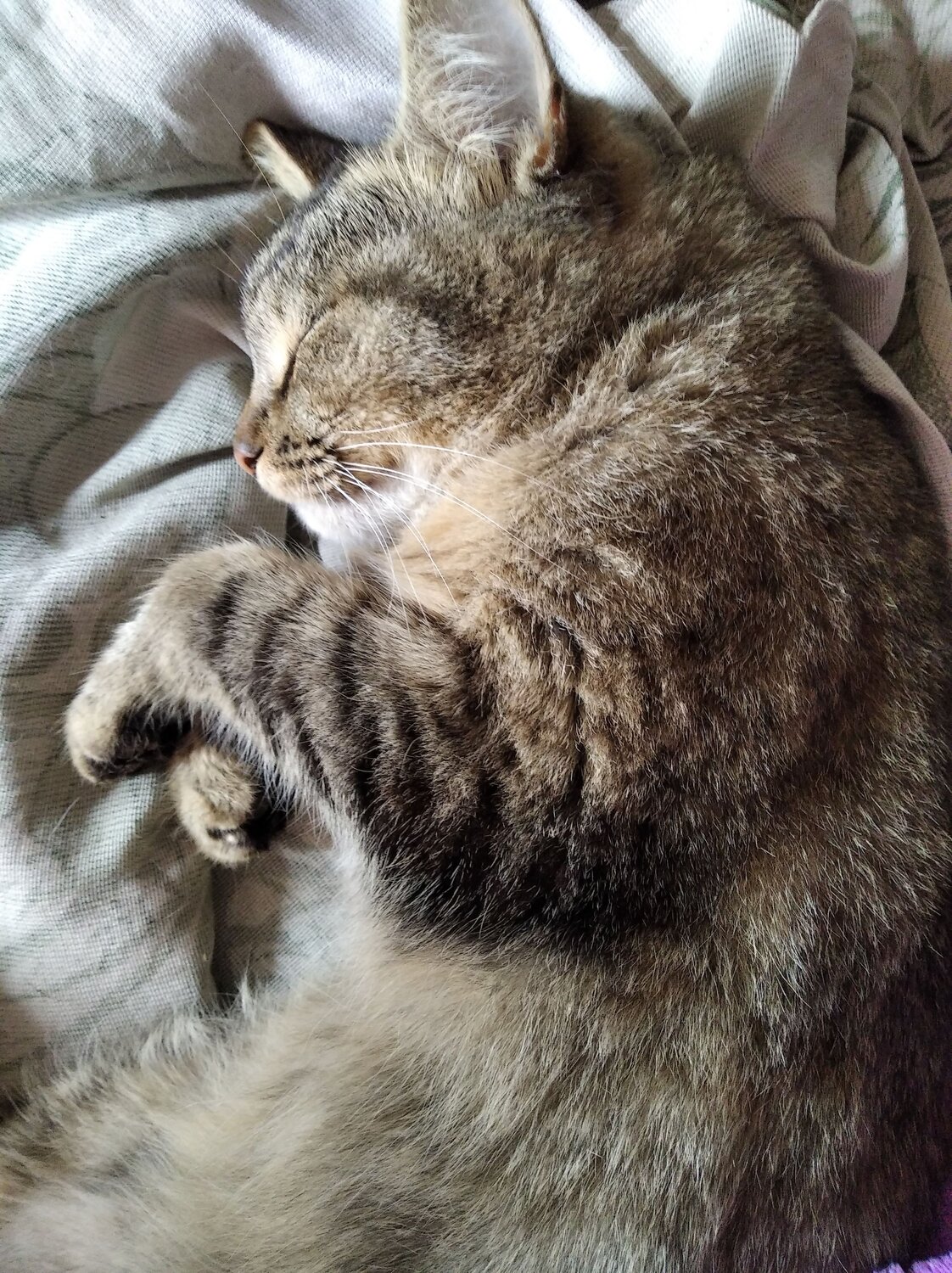 Photo #14034443