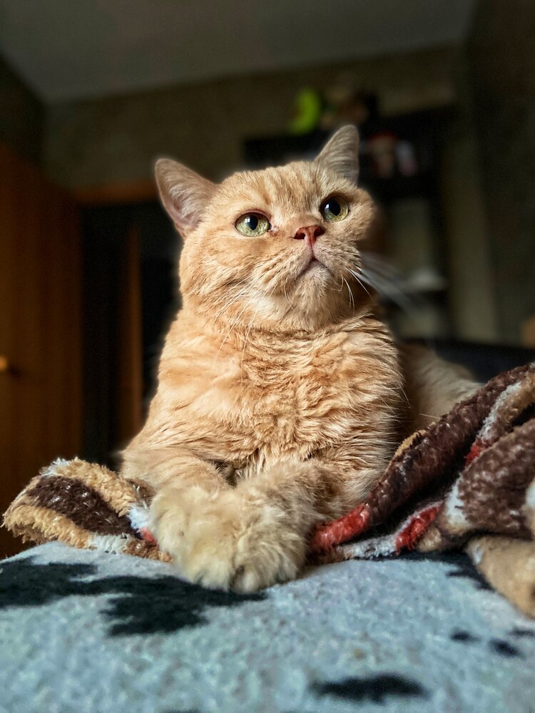 Photograph by Олеся Чехунова