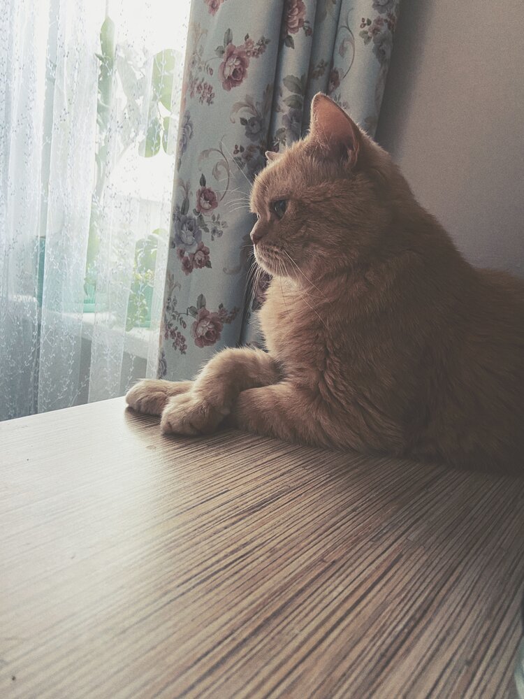 Photograph by Олеся Чехунова